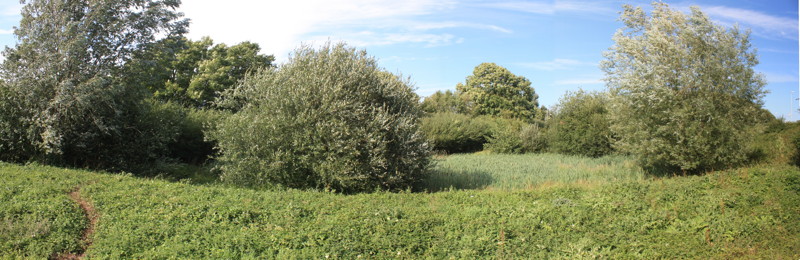 Cartgate pond