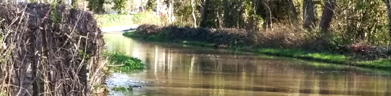 Parrett Bridge Flood